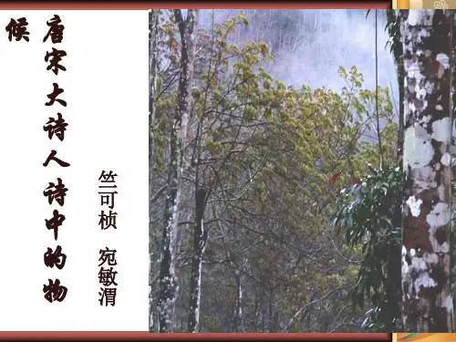 16唐宋大诗人诗中的物候