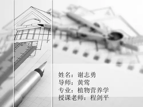 专业英语汇报PPT