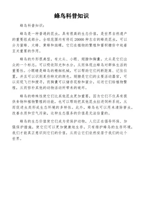 蜂鸟科普知识