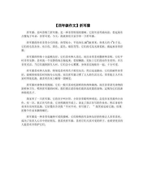 【四年级作文】折耳猫