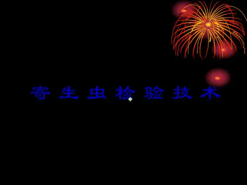 寄生虫检验-线虫纲PPT课件