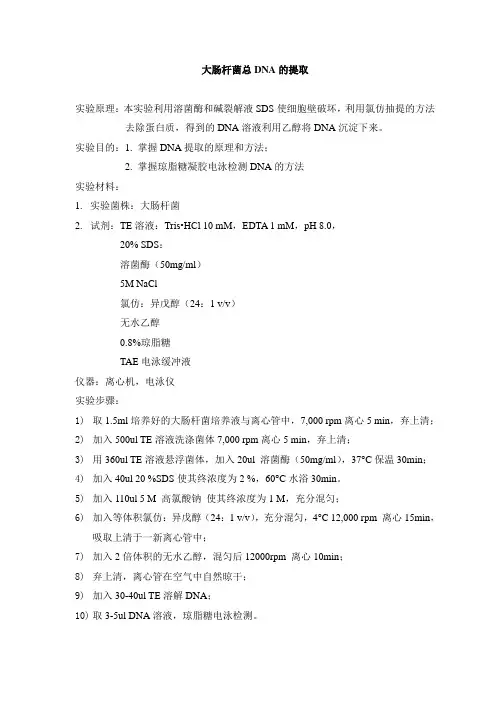 实验一大肠杆菌DNA的提取