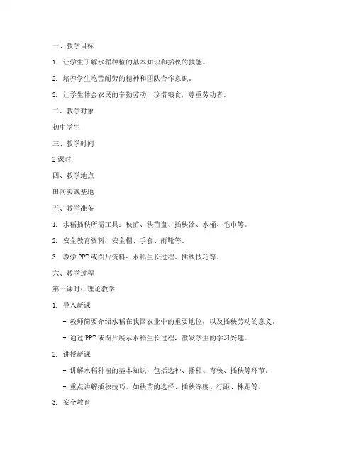 劳动课插秧教案模板初中