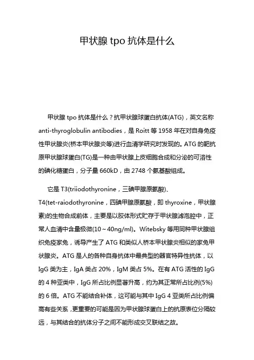 甲状腺tpo抗体是什么
