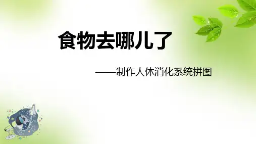 科学创新实验课程第6课：制作人体消化系统图