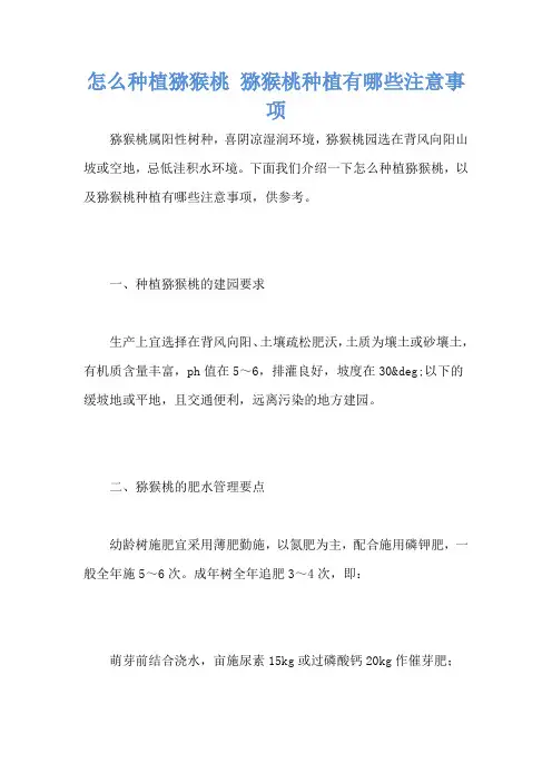 怎么种植猕猴桃 猕猴桃种植有哪些注意事项