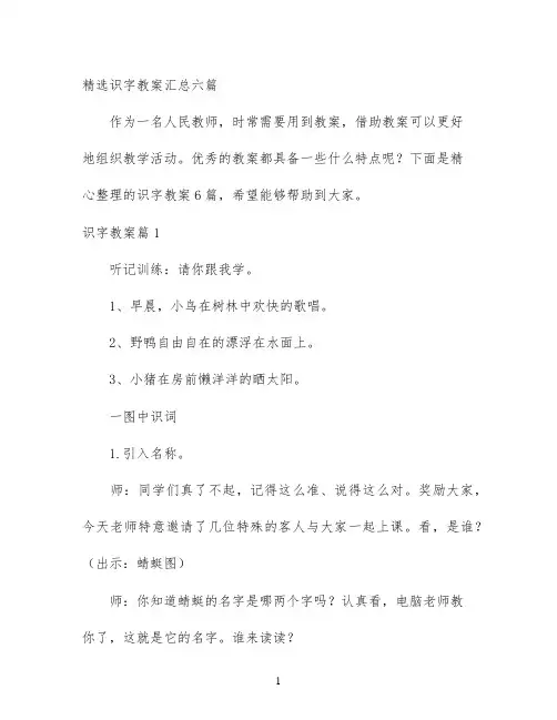 幼儿园优质课-精选识字教案汇总六篇