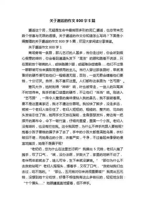 关于邂逅的作文800字5篇