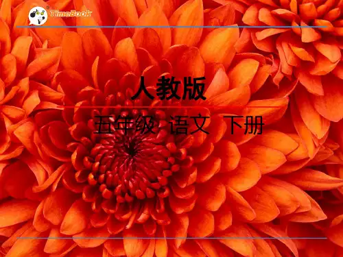 人教版小学语文五年级下册第七单元第22课-PPt