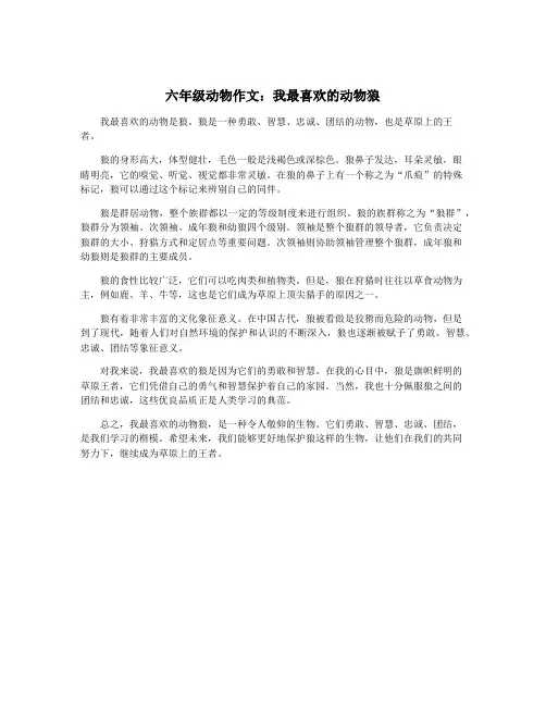 六年级动物作文：我最喜欢的动物狼