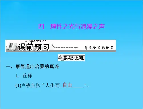 历史课件 人民版必修三 专题六 四 理性之光与浪漫之声