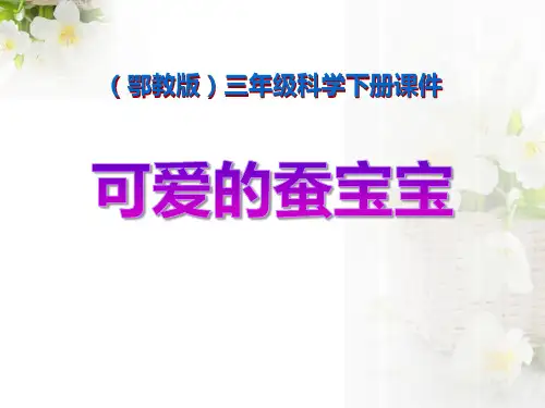《可爱的蚕宝宝》PPT课件-完美版