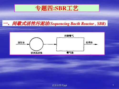 专题四-SBR工艺pppt课件