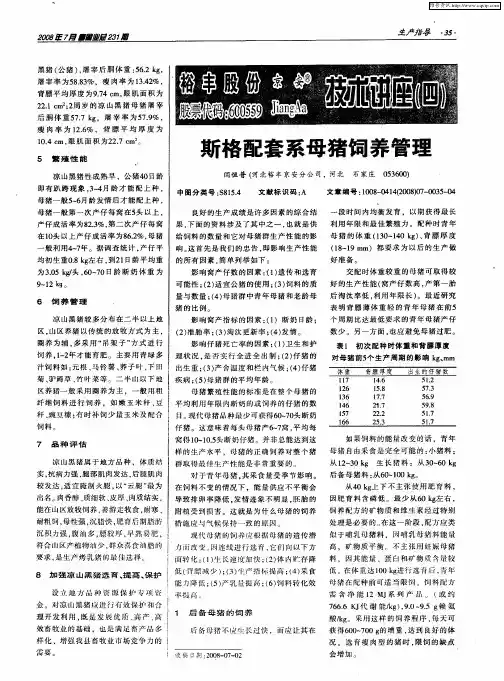 斯格配套系母猪饲养管理