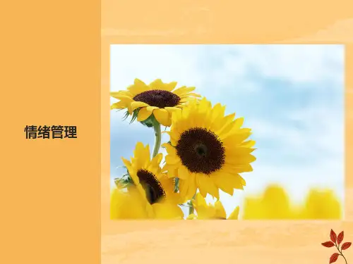 大学生心理健康教育-情绪与情绪管理