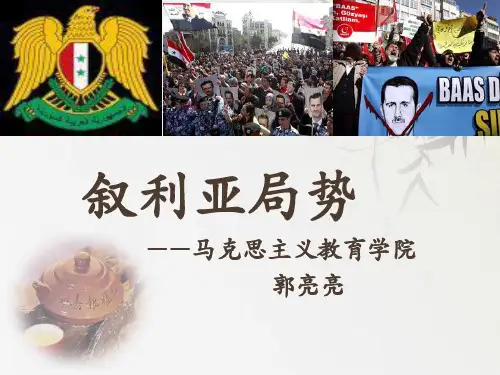 叙利亚局势