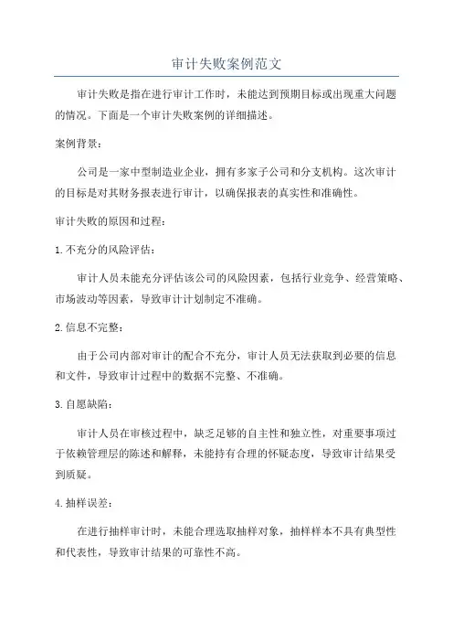 审计失败案例范文
