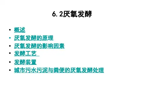 厌氧发酵