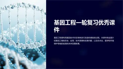 基因工程一轮复习优秀课件