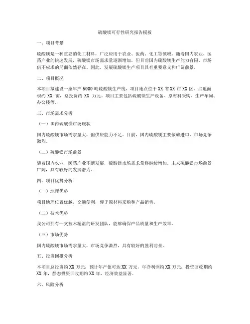 硫酸镁可行性研究报告模板