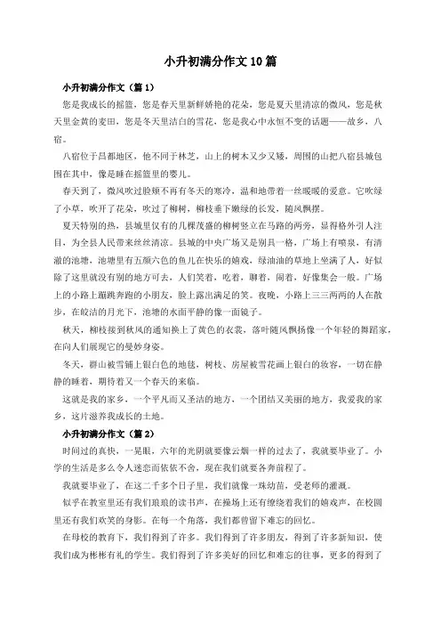 小升初满分作文10篇