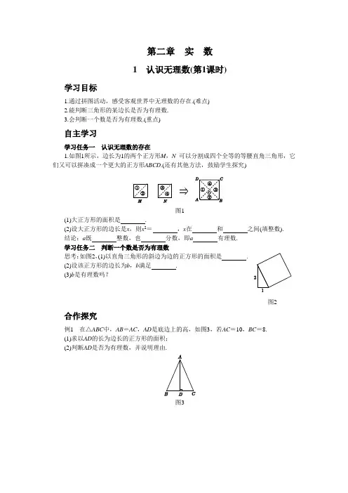 北师大版初中数学八年级(上)2-1 认识无理数(第1课时)(学案+练习)