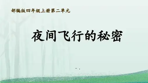 《夜间飞行的秘密》PPT课件