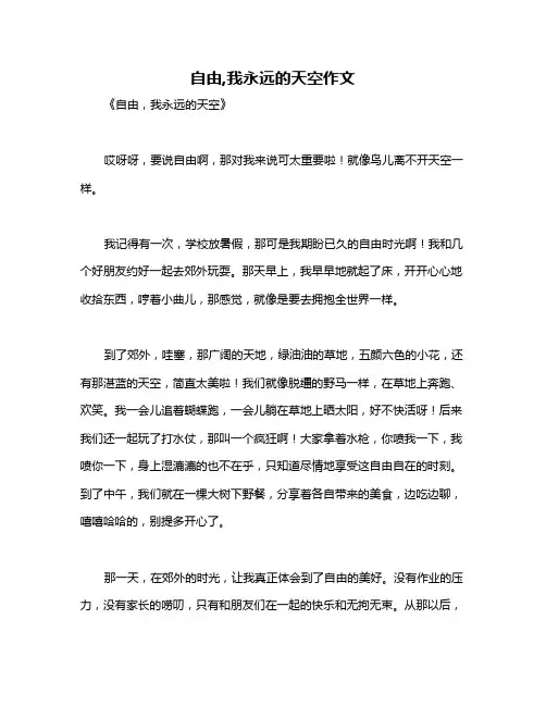 自由,我永远的天空作文
