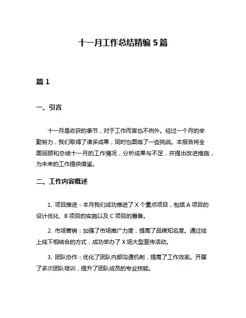 十一月工作总结精编5篇