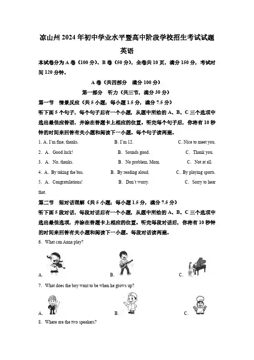 2024年四川省凉山州中考英语真题(含解析)