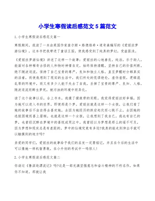 小学生寒假读后感范文5篇范文