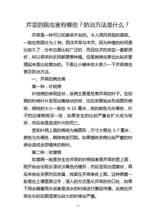 芹菜的病虫害有哪些？防治方法是什么？