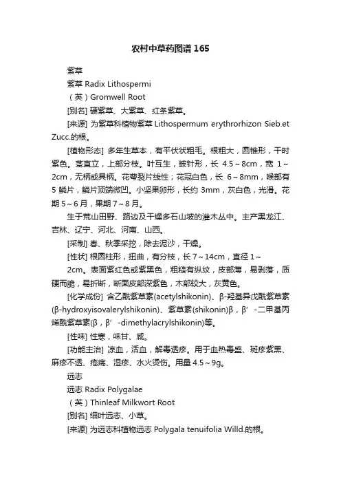 农村中草药图谱165