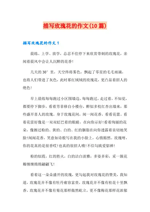 描写玫瑰花的作文(10篇)