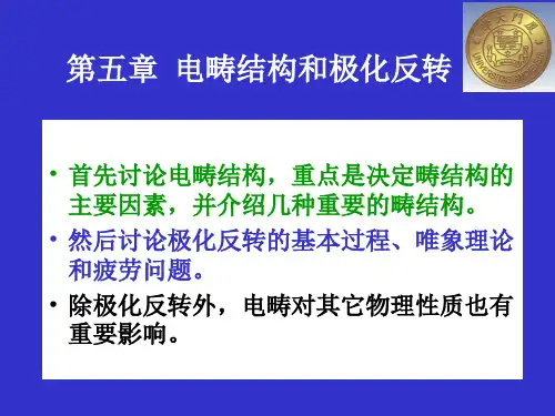 05第五章 电畴结构和极化反转3