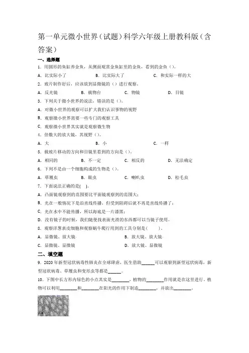 教科版小学科学六年级上册第一单元 微小世界(单元测试题)(含答案) (1)