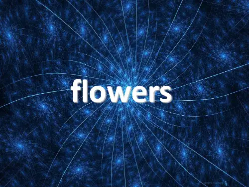花语.ppt