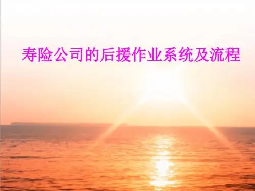 寿险公司的后援作业系统及流程