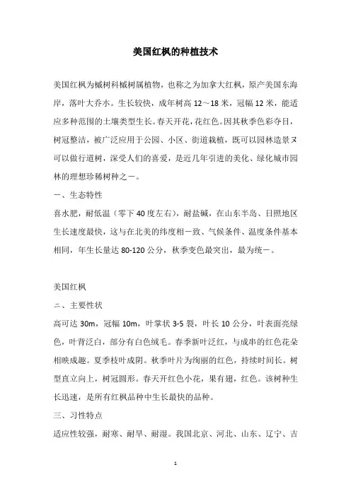 美国红枫的种植技术