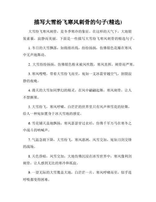描写大雪纷飞寒风刺骨的句子(精选)