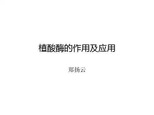植酸酶