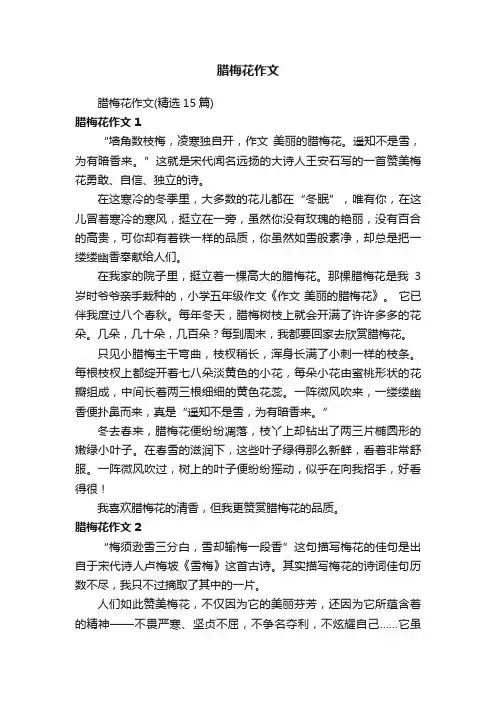 腊梅花作文（精选15篇）