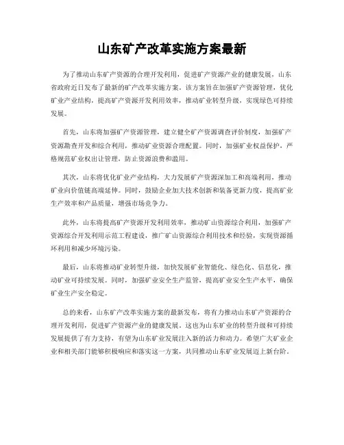 山东矿产改革实施方案最新