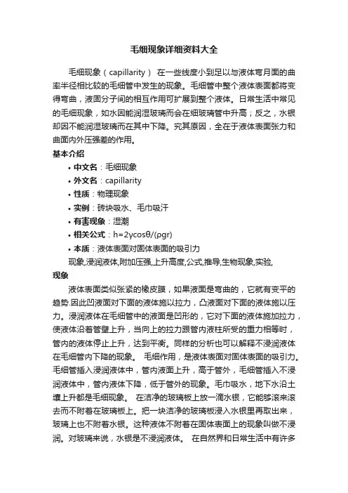毛细现象详细资料大全