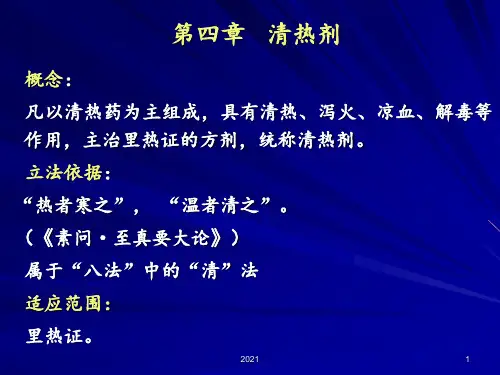 清热剂邓中甲版