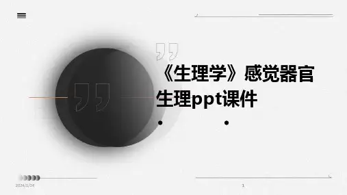 2024版《生理学》感觉器官生理ppt课件