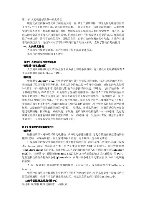葡萄酒的香气及香气分析