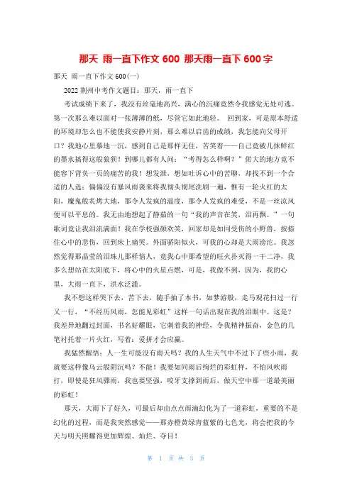 那天 雨一直下作文600 那天雨一直下600字