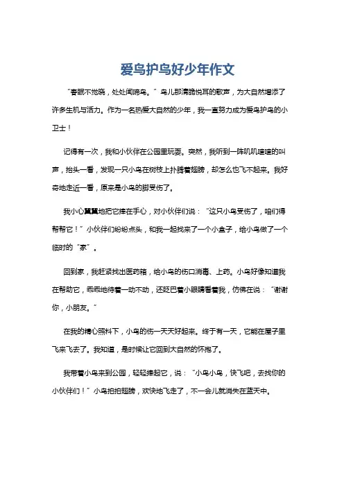 爱鸟护鸟好少年作文