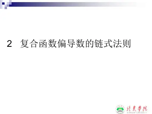 2 复合函数偏导数的链式法则